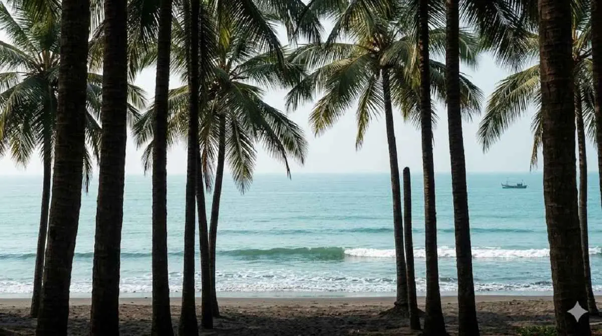 Scenic coastal view representing Kashid Beach near Alibaug