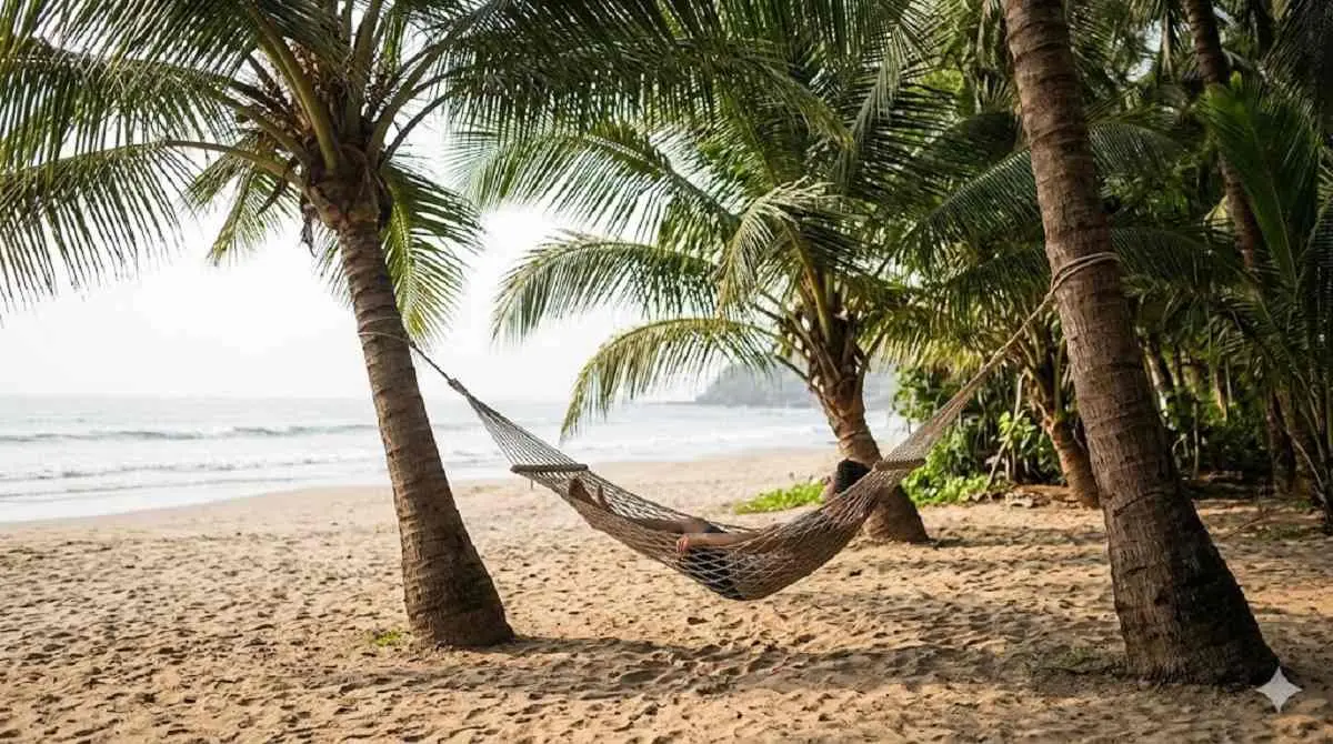 Relaxing hammock scene on a quiet beach in Alibaug